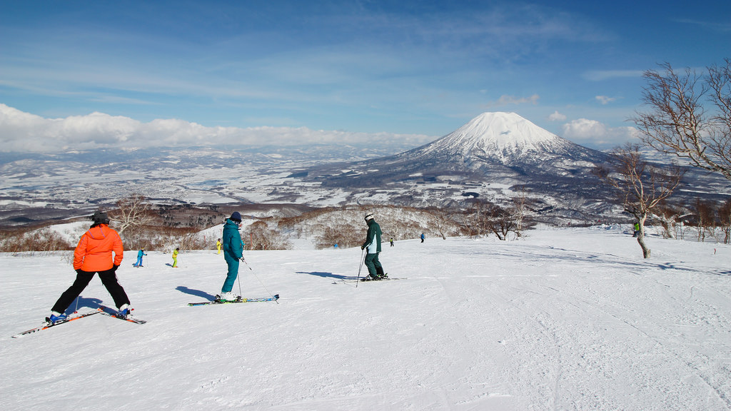 Niseko skiing