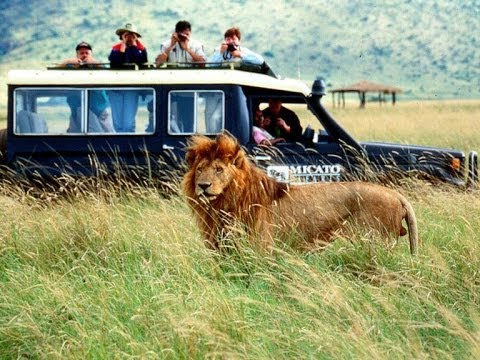 General Ideas of Organizing an Africa Safari